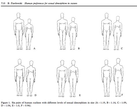 perfect height ratio for couples|The average height difference between couples。